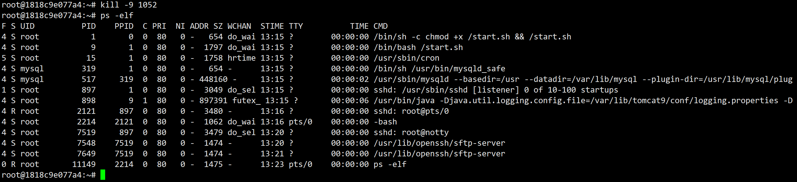 image-20260103212405431